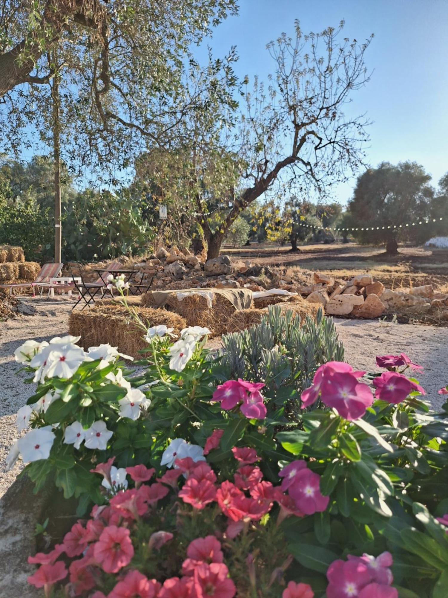 Residenza Anima Mediterranea Francavilla Fontana Exteriér fotografie
