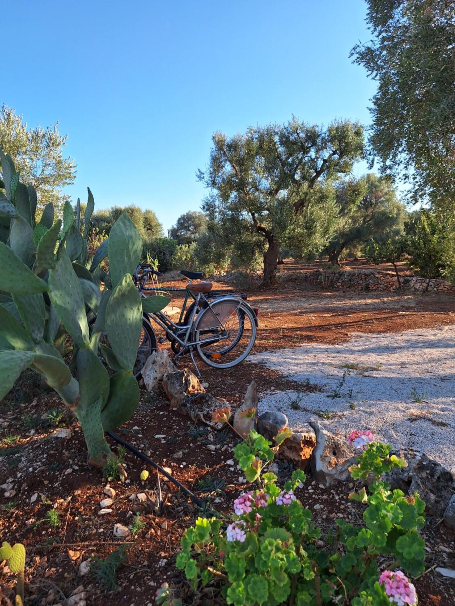 Residenza Anima Mediterranea Francavilla Fontana Exteriér fotografie